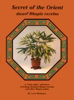 Rhapis palm book and link to more information
