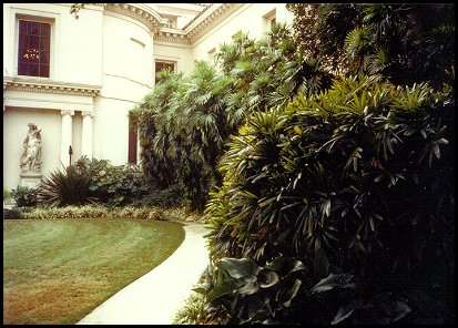 Rhapis excelsa & R.humilis at Huntington Gardens, California